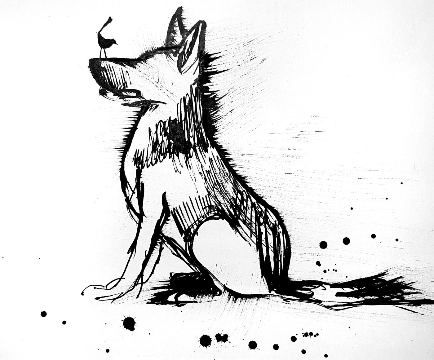The original Muttmates artwork: an ink sketch of a dog with a little wren perched on its nose