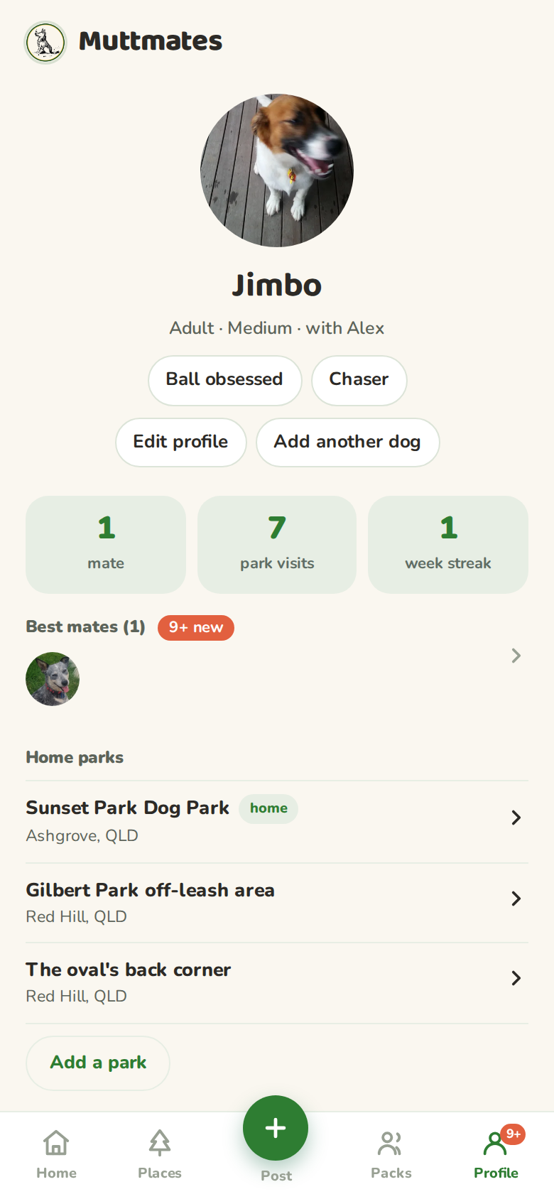 Jimbo's profile with mates, park visits and week streak counters, play style chips, a best mates row and home parks