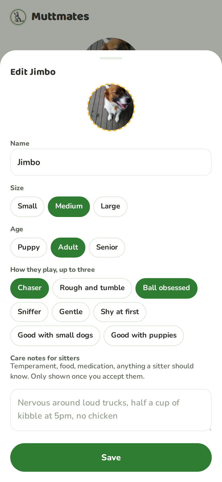 The edit profile sheet for Jimbo with photo, name, size, age and play styles