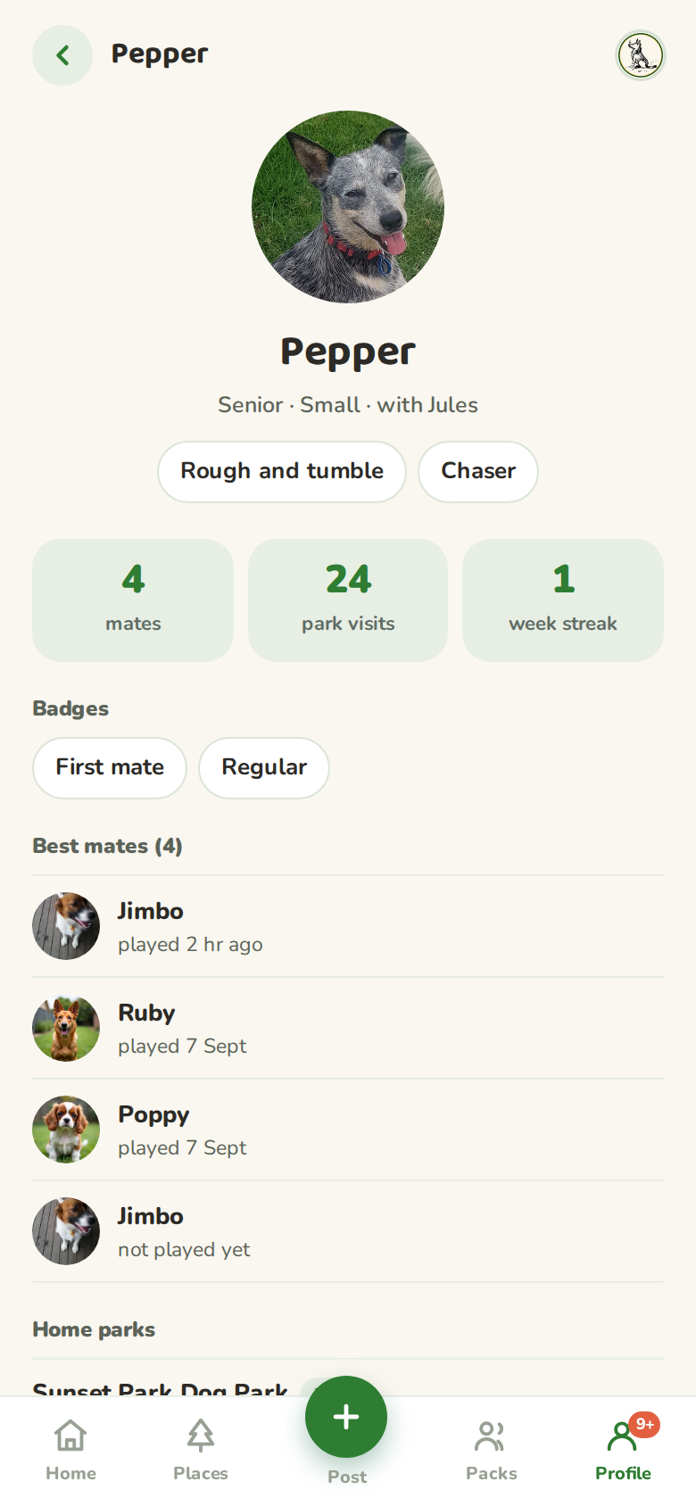 Pepper's profile as another owner sees it, with size, age, play styles and shared history