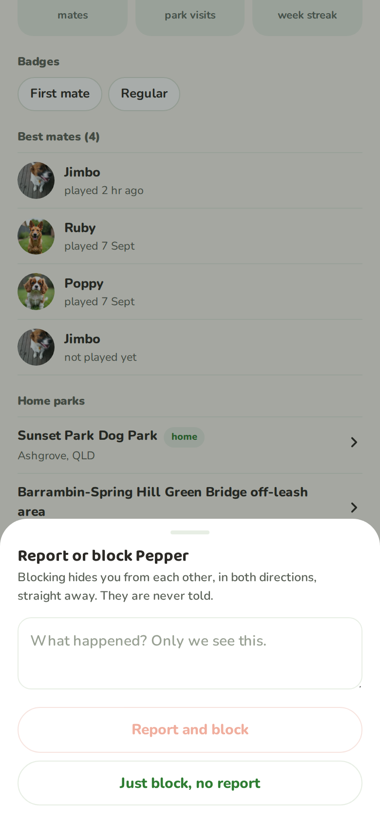 The report or block sheet with block and report options and an explanation that blocking is silent