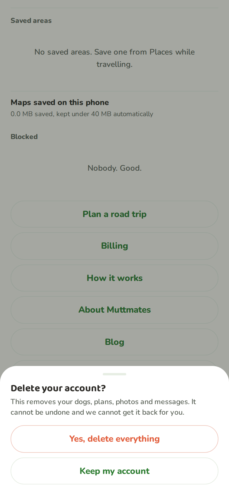 The delete your account sheet spelling out exactly what gets removed, with a confirmation button