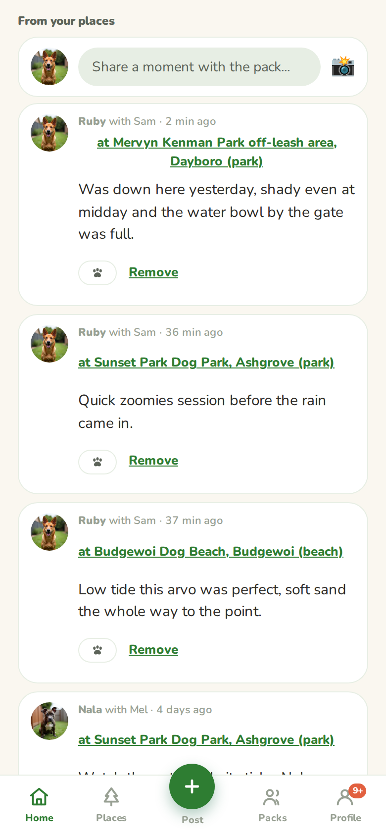 The From your places wall with a Share a moment with the pack box on top and posts from a park and a dog beach